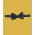 To-Tie Bow Tie