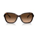 Chic Women's Shades