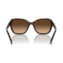 Chic Women's Shades