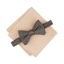 Men's Bow Tie & Pocket Square Set