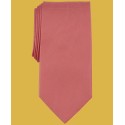 Men's Canyon Solid Tie